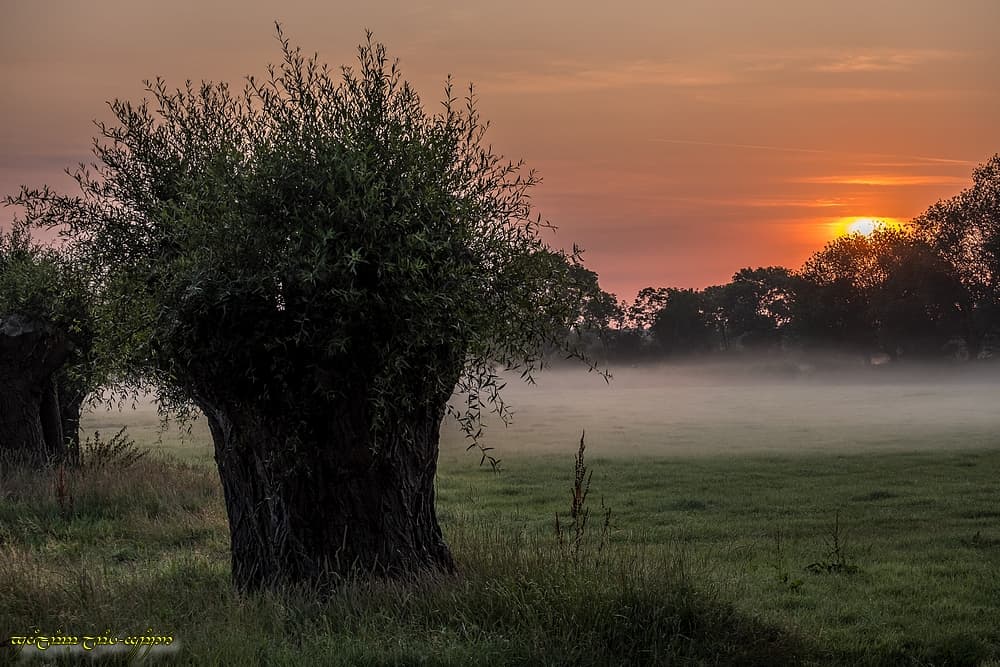 Résistance manifeste