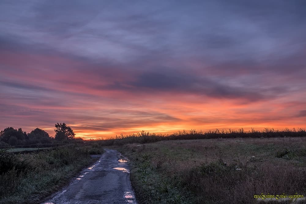 Matutinale apparition