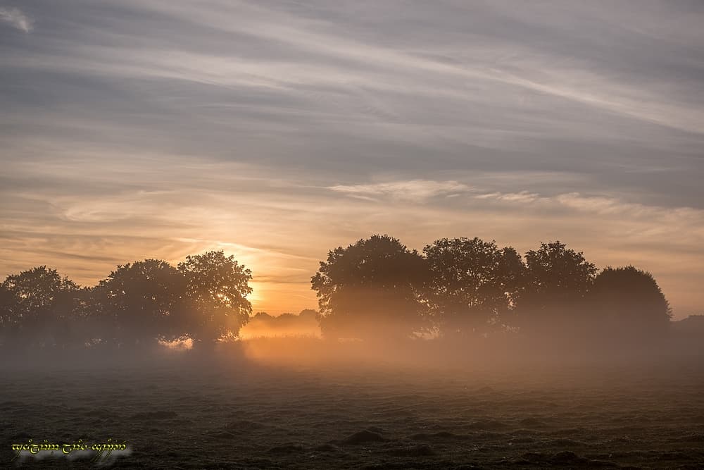 Couleurs dans la brume