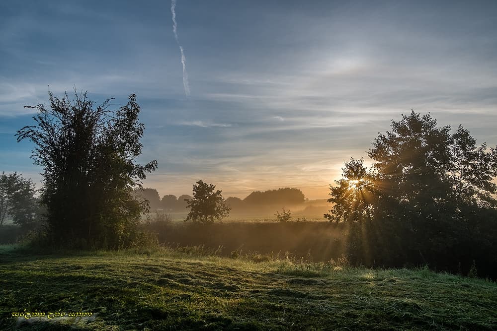 Ebauche de halo 22° + quelques rayons