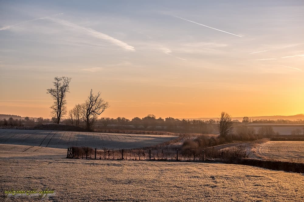 Matin blanc et coloré