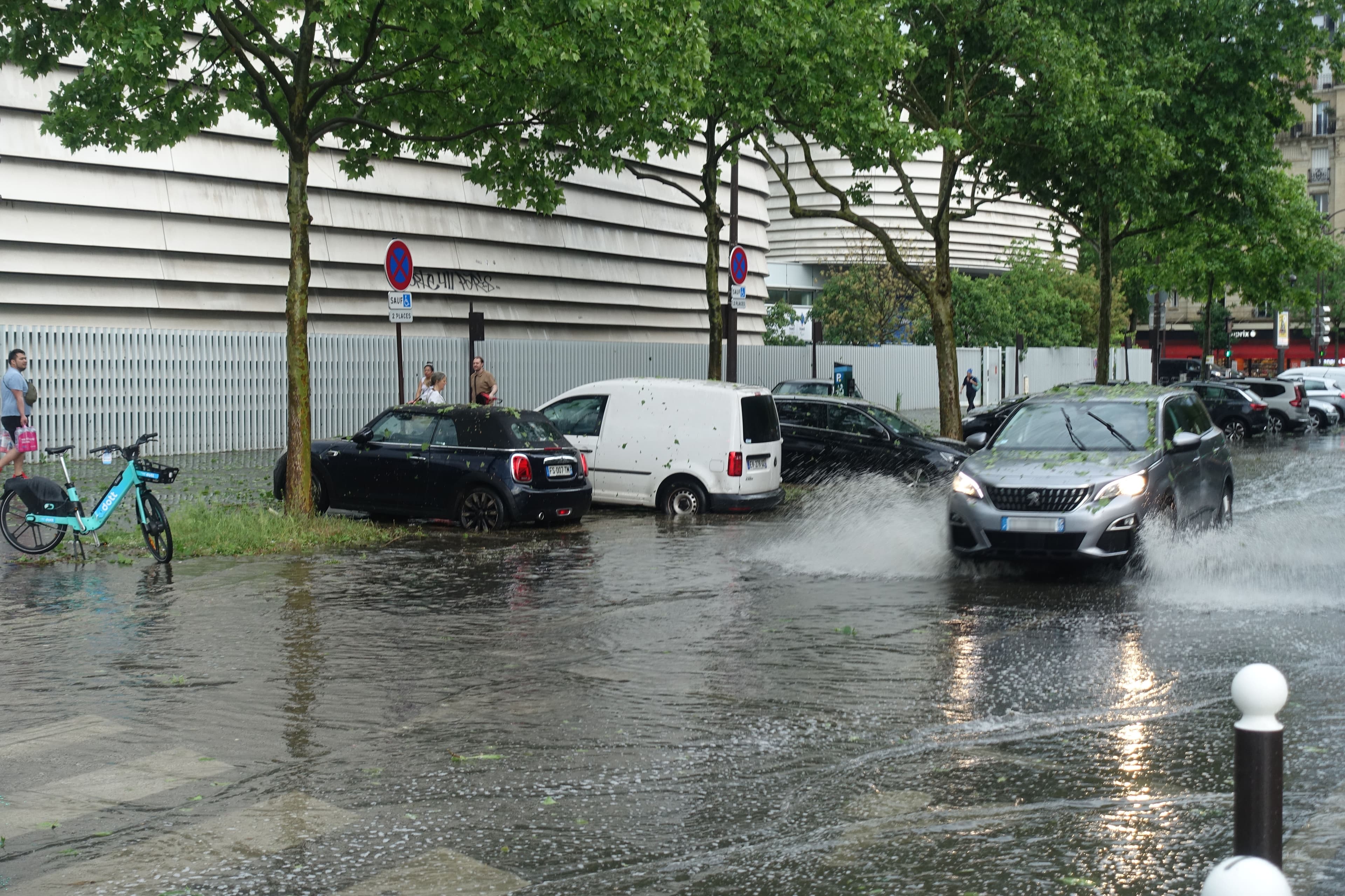 Après l'orage de grêle parisien -1