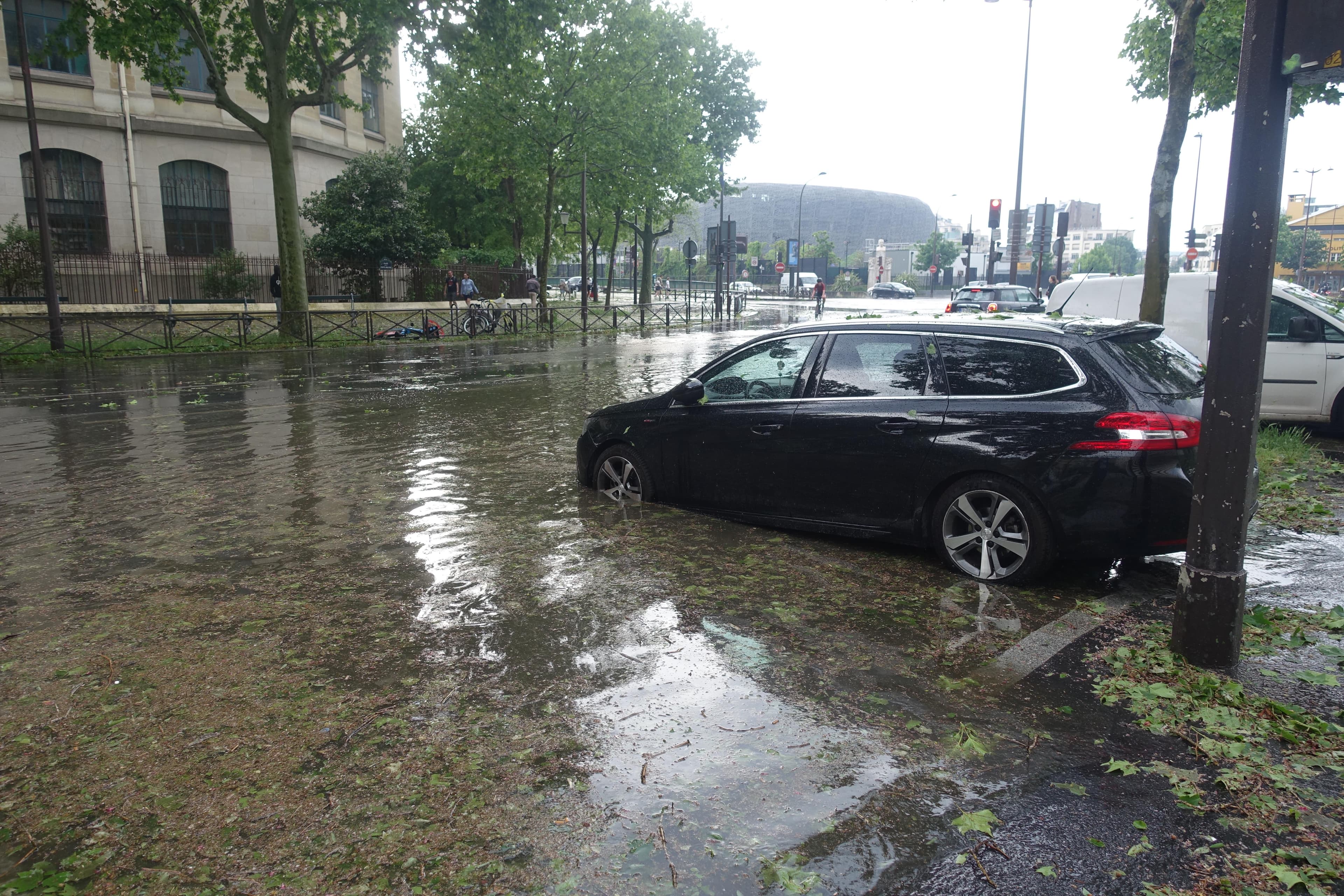 Après l'orage de grêle parisien -2