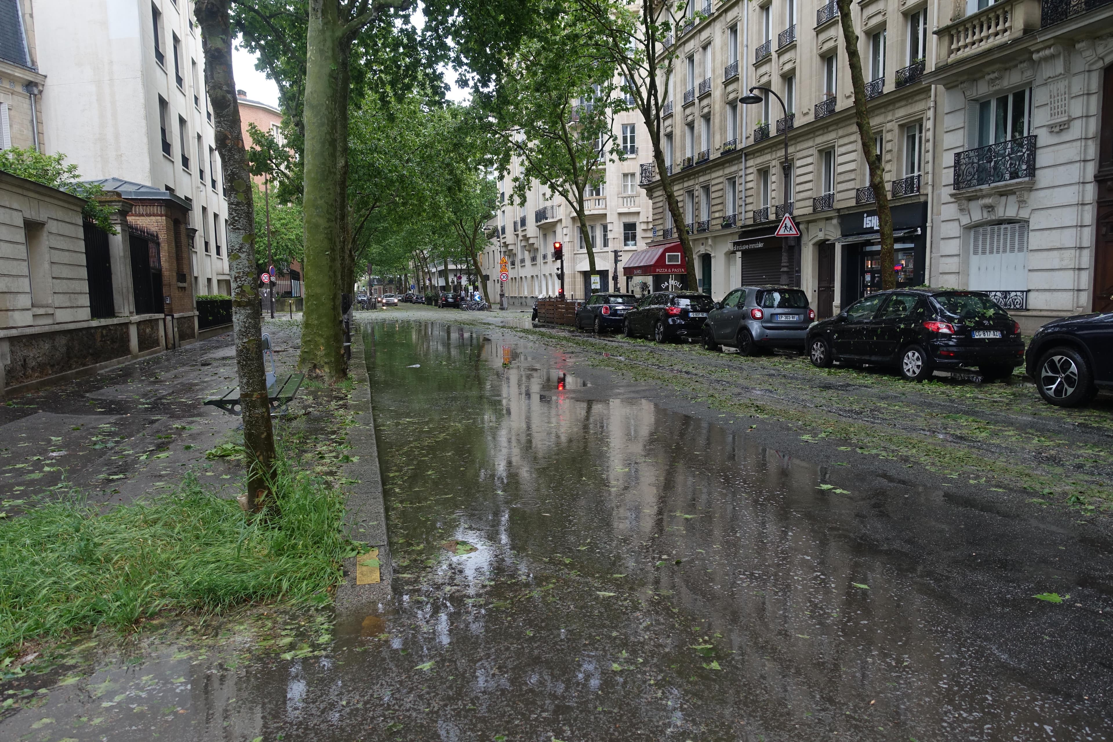 Après l'orage de grêle parisien -3