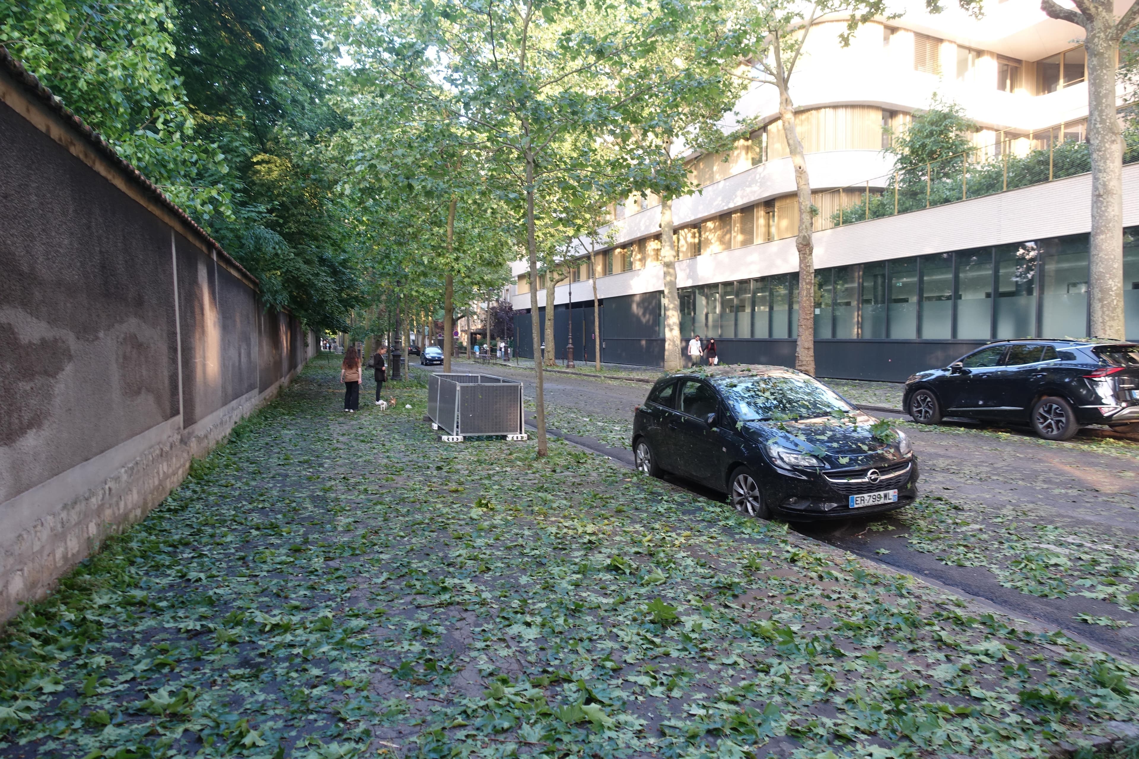 Après l'orage de grêle parisien -4