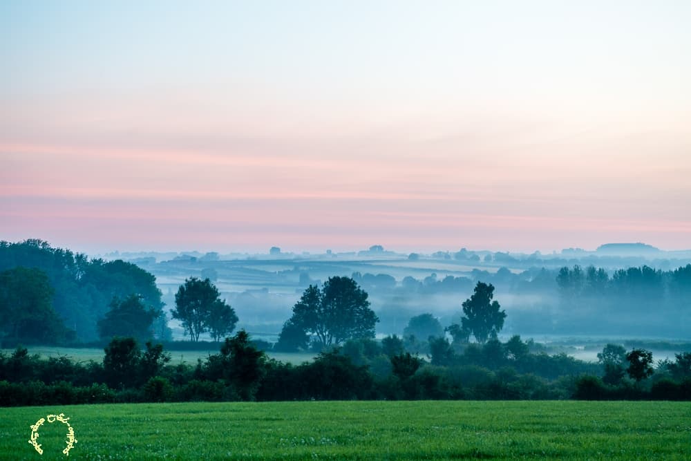Roseur et brume en contrebas