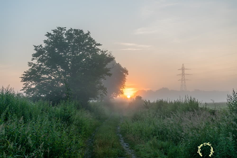 Lumineux sentier