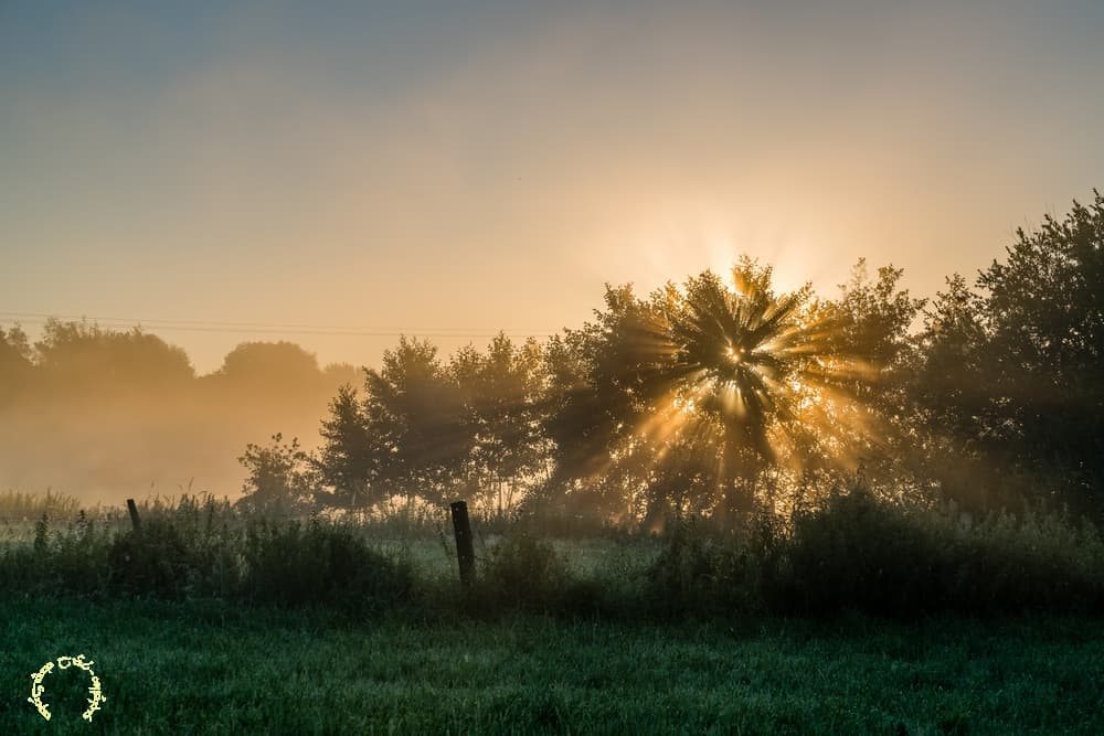 Quelques rayons dorés