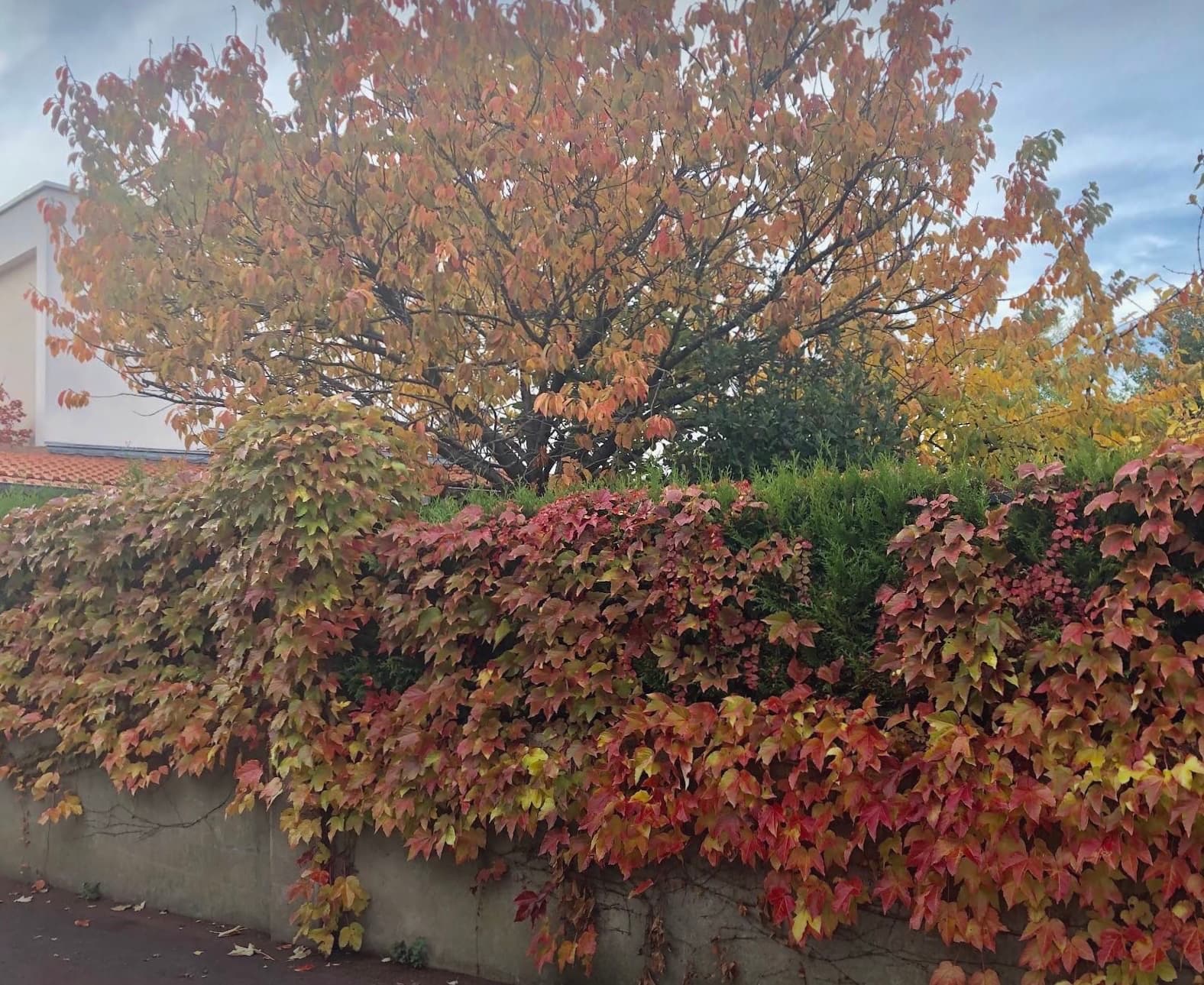 automne