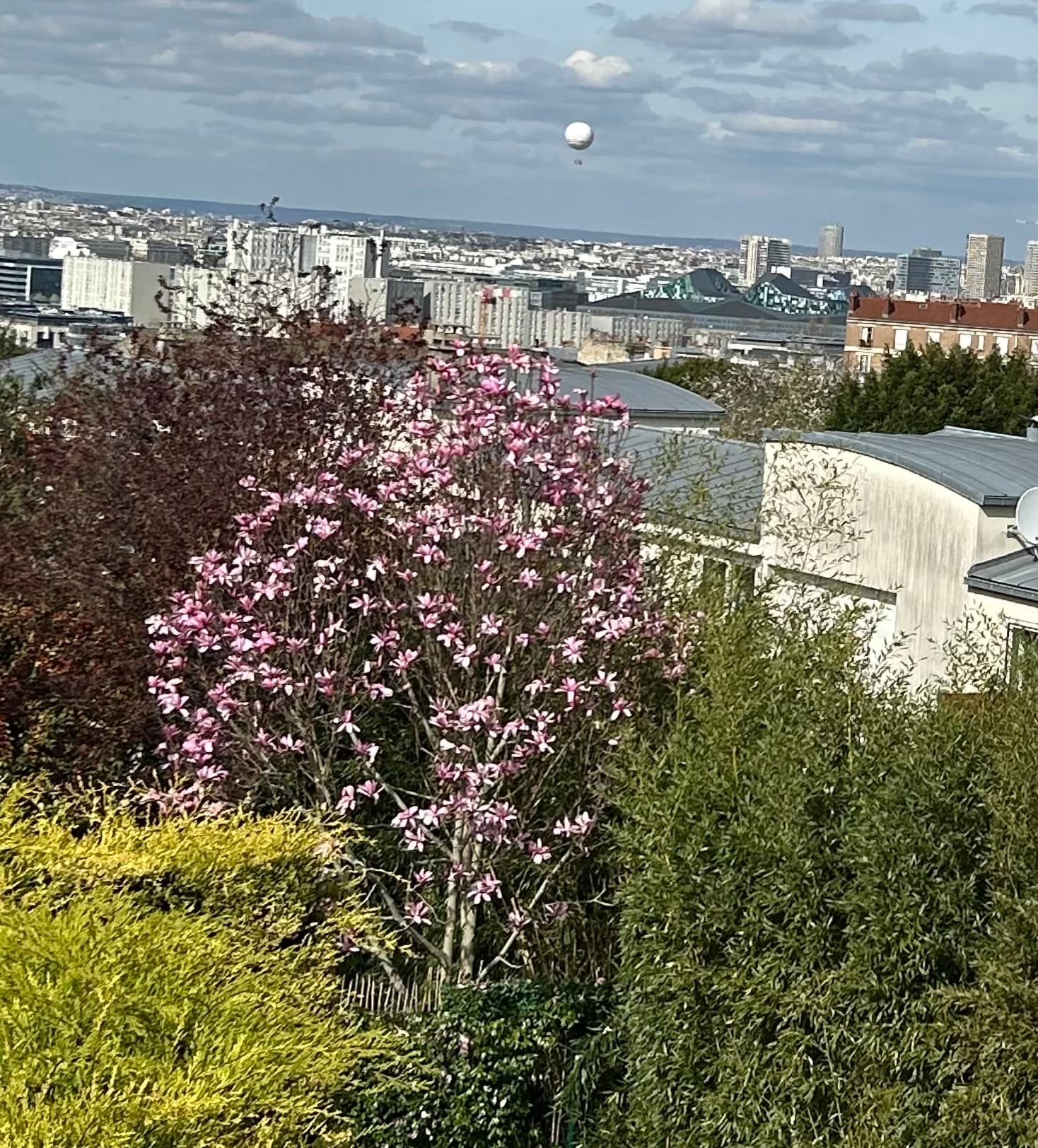 cest-le-printemps