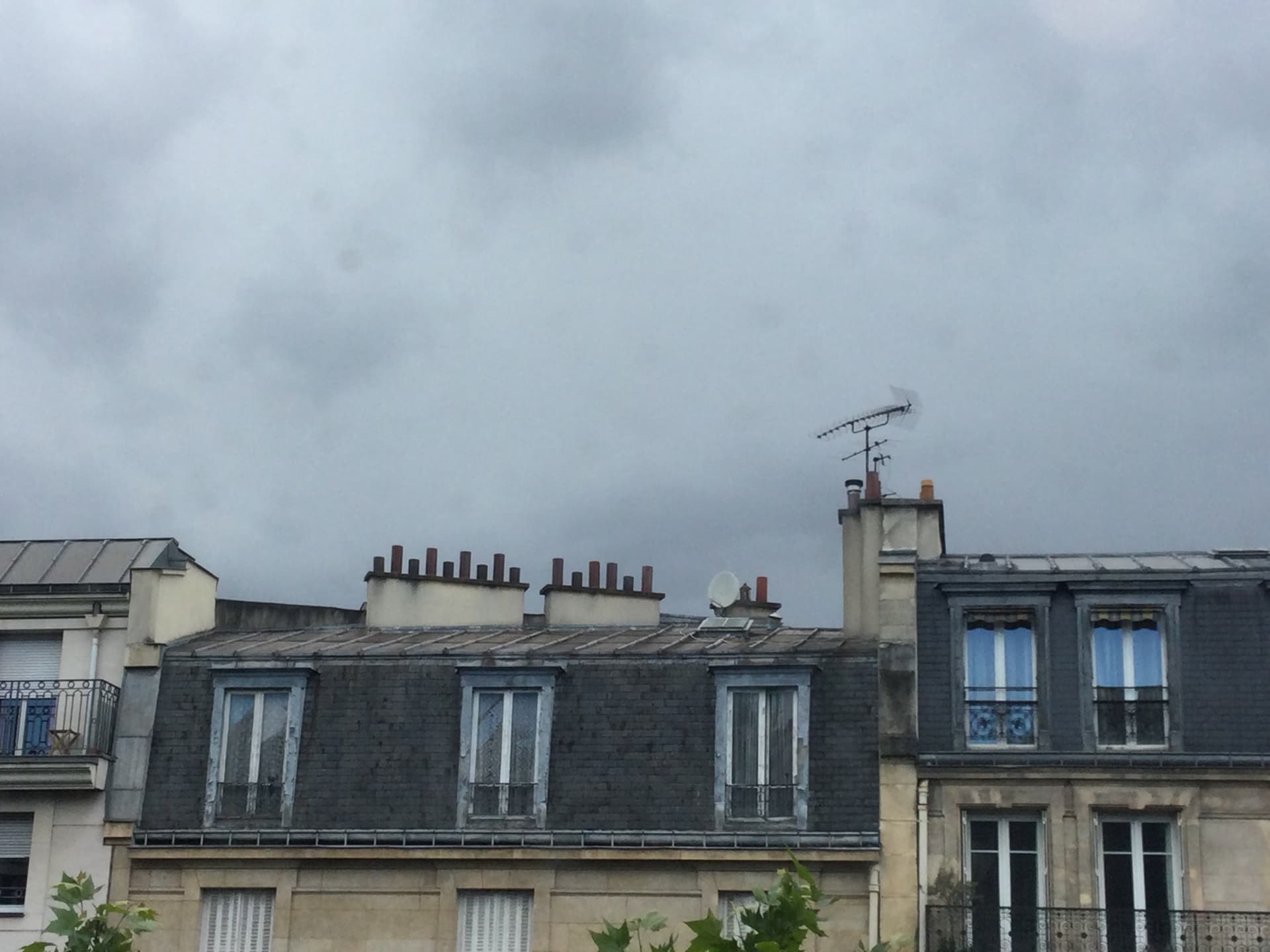 coucou