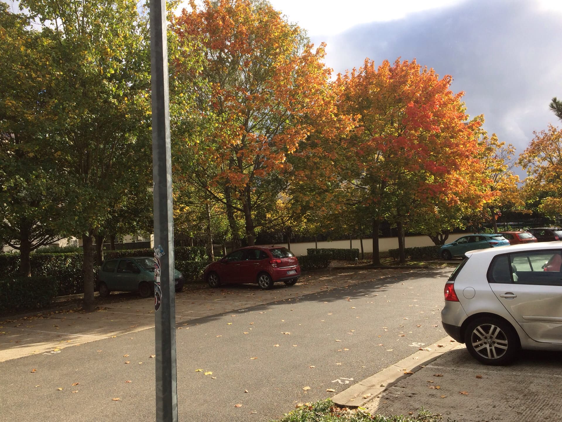 couleur-automne
