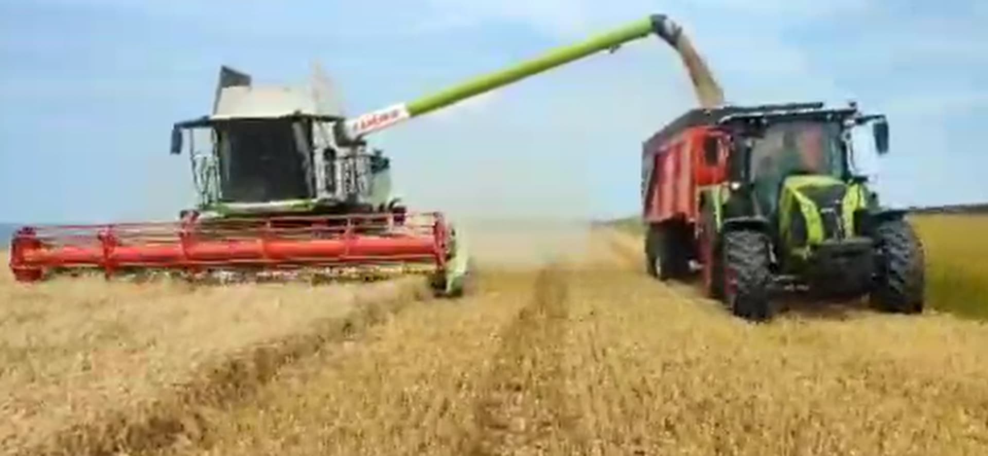 moisson