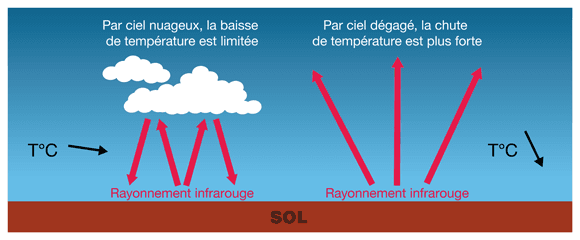 Image d'illustration pour Les gelées matinales font leur retour dès mardi ! 