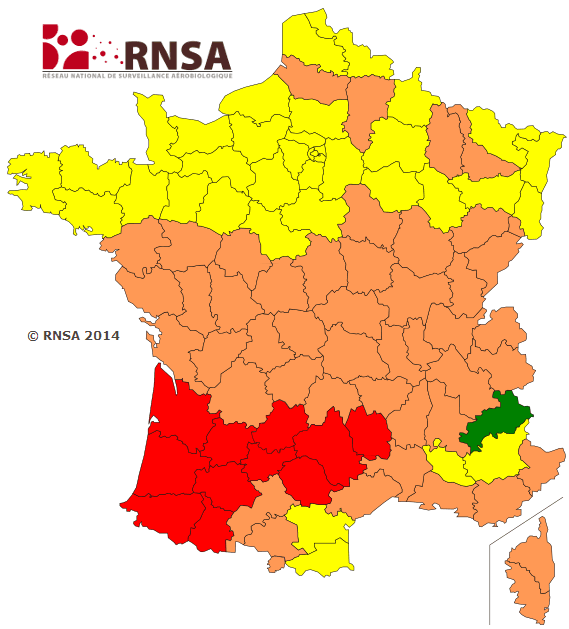Image d'illustration pour Allergies : pollens de graminées très présents