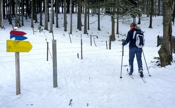 Image d'illustration pour Pluie, vent, neige, froid et verglas : suivi du temps hivernal