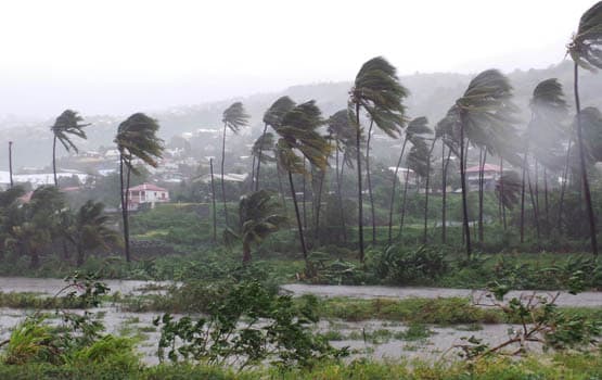 Image d'illustration pour Suivi du cyclone tropical intense Bejisa à La Réunion