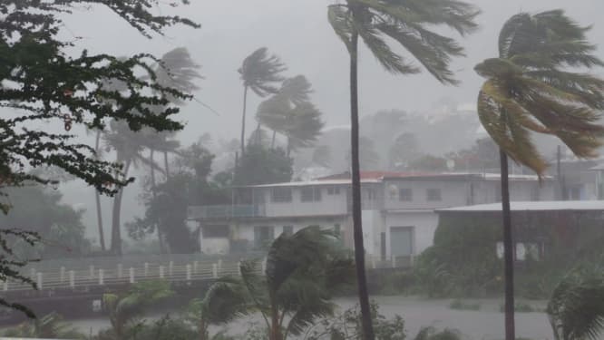 Image d'illustration pour Suivi du cyclone tropical intense Bejisa à La Réunion