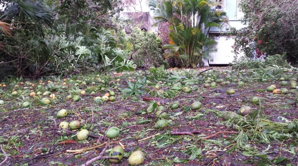 Image d'illustration pour Suivi du cyclone tropical intense Bejisa à La Réunion