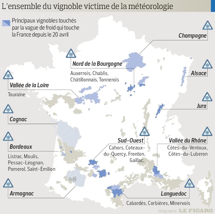 Image d'illustration pour Production viticole française en baisse à cause de la météo