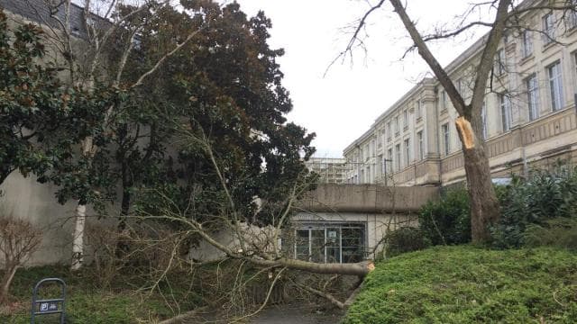 Image d'illustration pour Tempête et giboulées : des vents violents jusqu'à mardi 