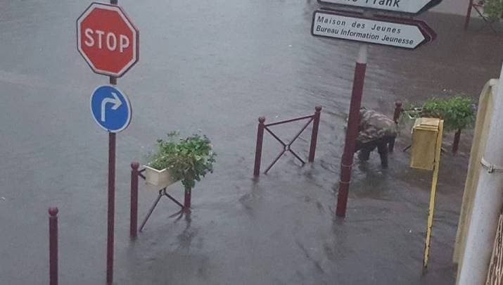 Image d'illustration pour Les crues et les inondations prennent de l'ampleur