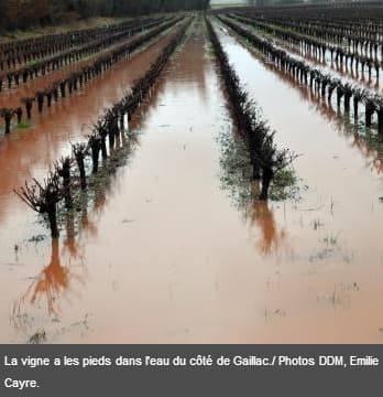 Image d'illustration pour Suivi du mauvais temps dans le Sud-Ouest et près des Pyrénées