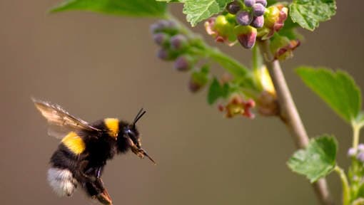 Image d'illustration pour COP 21 - Réchauffement & changement climatique : veille documentaire