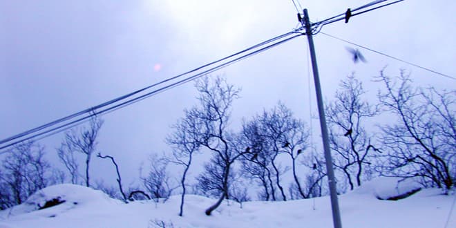 Image d'illustration pour Fortes neiges en Europe Centrale (Balkans - Carpates)