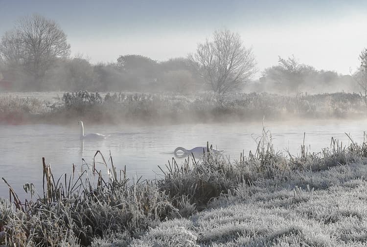 Image d'illustration pour Pluie, vent, neige, froid et verglas : suivi du temps hivernal