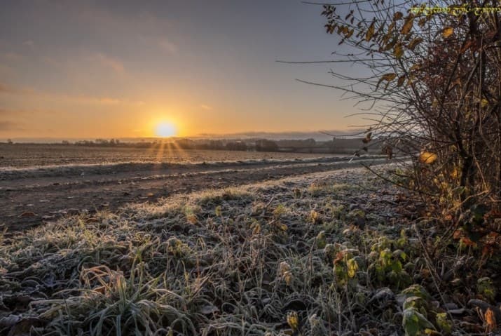 Image d'illustration pour Risque de gel sur la majeure partie de la France