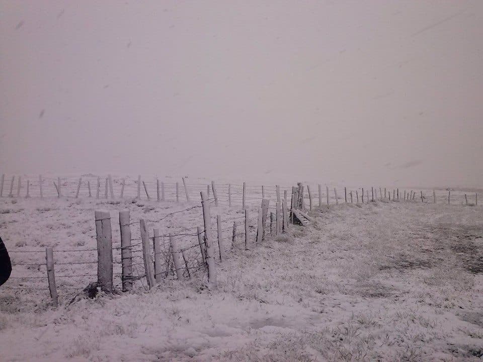 Image d'illustration pour Neige et fortes rafales de vent sur le Massif Central
