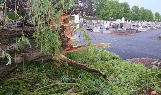 Image d'illustration pour De violents orages interrompent le pic de chaleur en France et en Belgique