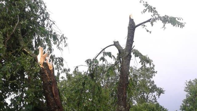 Image d'illustration pour De violents orages interrompent le pic de chaleur en France et en Belgique