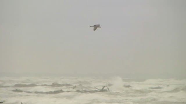Image d'illustration pour Vent fort et mer démontée - Trombe marine à Sète dans l'Hérault
