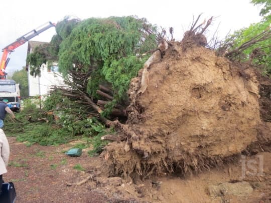 Image d'illustration pour Dégâts liés aux orages : Maine et Loire, Indre, Saône et Loire, Jura
