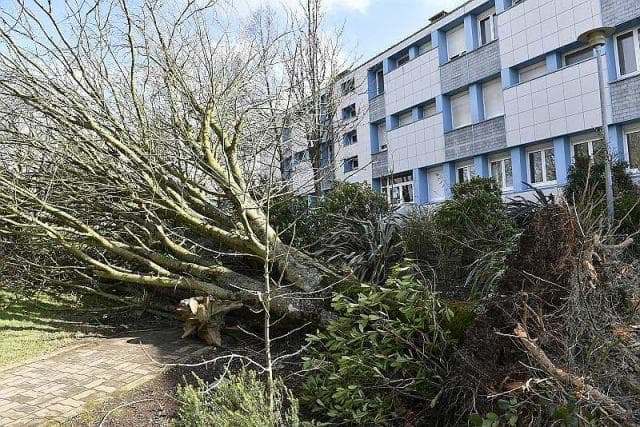 Image d'illustration pour Tempête et giboulées : des vents violents jusqu'à mardi 
