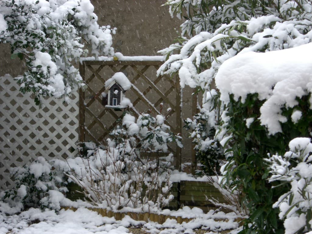 Image d'illustration pour BILAN FÉVRIER 2013 :  froid marqué et neigeux