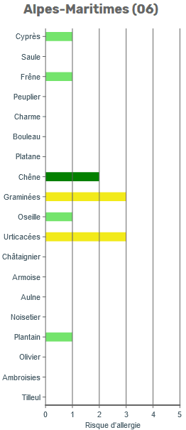 Image d'illustration pour Pollens - suivi et prévision