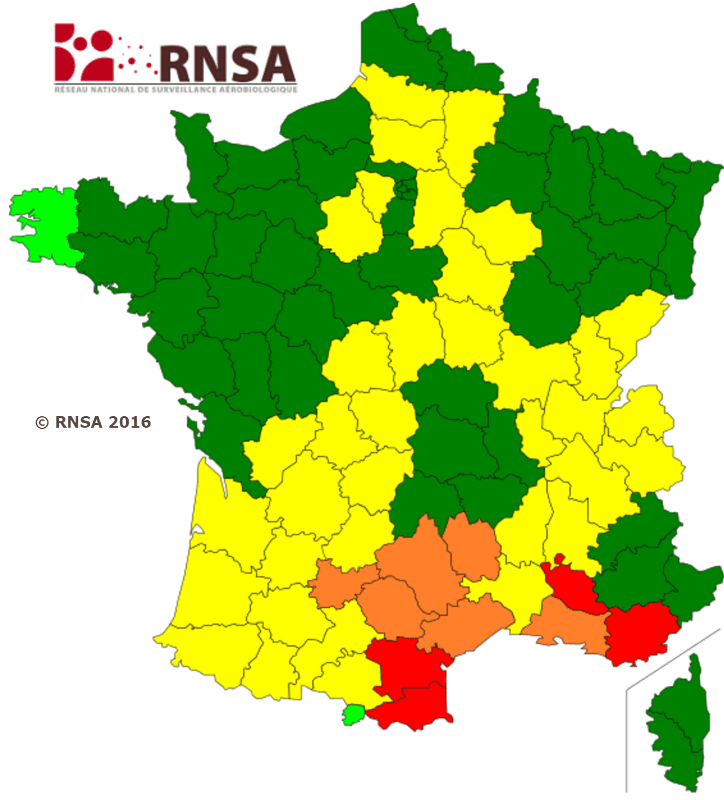 Image d'illustration pour La nature se réveille, les pollens aussi