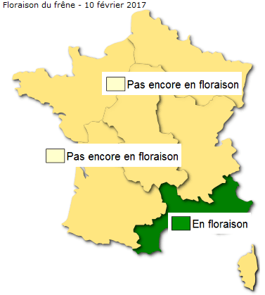 Image d'illustration pour La nature s'éveille, les pollens aussi