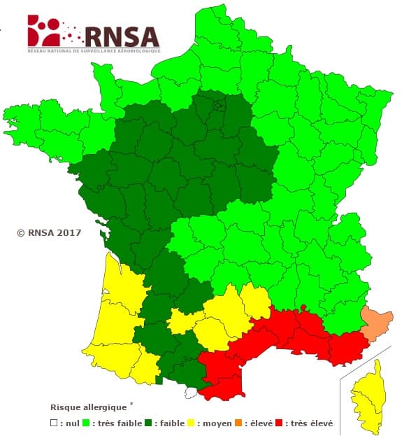 Image d'illustration pour La nature s'éveille, les pollens aussi