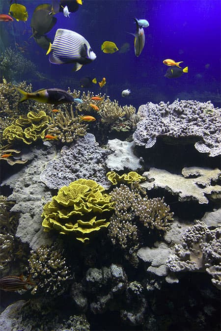 Image d'illustration pour Réchauffement & changement climatique : veille documentaire