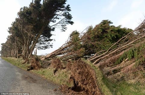 Image d'illustration pour Suivi de la dépression Tini - inondations en Bretagne