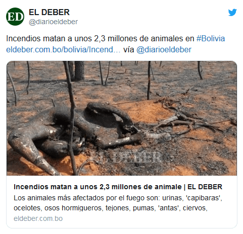 Image d'illustration pour Violents incendies en Bolivie