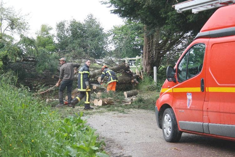 Image d'illustration pour Phénomène venteux dans la Manche - Tornade ?