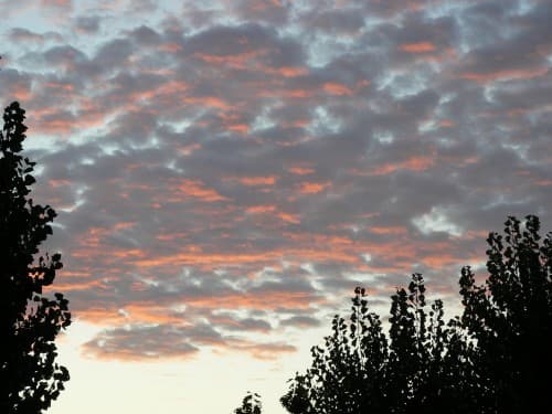 Altocumulus au petit matin