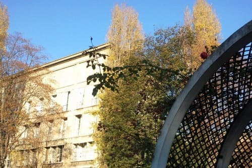 Des roses fin novembre à Paris 