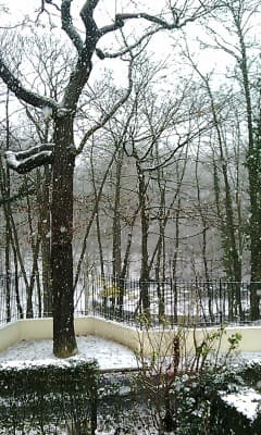 Le plessis robinson sous la neige
