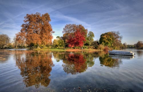 reflet dans le lac du bois de Vincennes